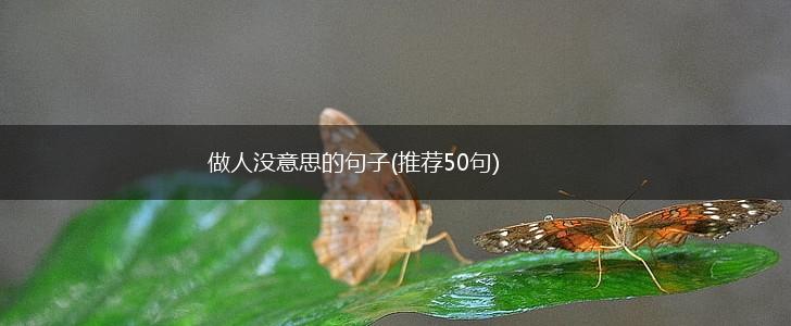 做人没意思的句子(推荐50句),第1张