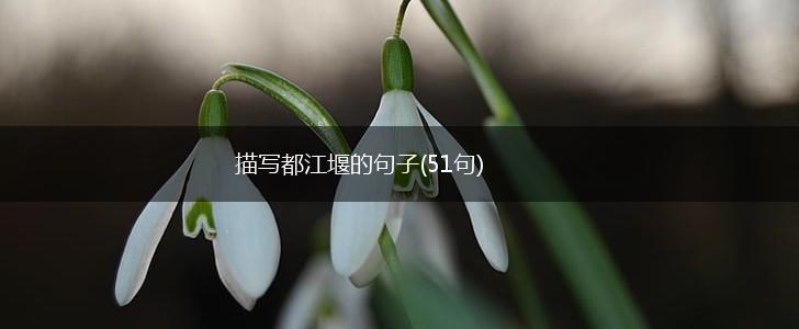 描写都江堰的句子(51句),第1张