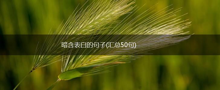 暗含表白的句子(汇总50句),第1张