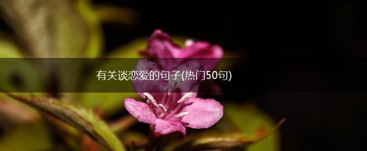 有关谈恋爱的句子(热门50句),第1张