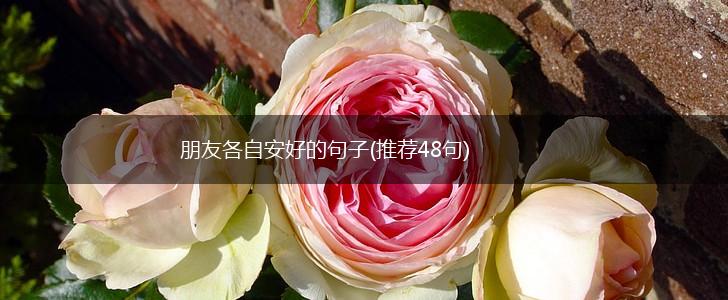 朋友各自安好的句子(推荐48句),第1张