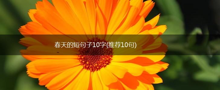 春天的短句子10字(推荐10句),第1张