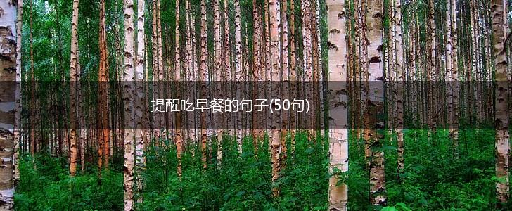 提醒吃早餐的句子(50句),第1张