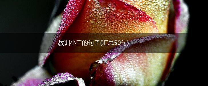 教训小三的句子(汇总50句),第1张