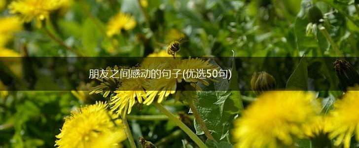 朋友之间感动的句子(优选50句),第1张