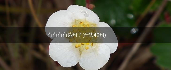 有有有有造句子(合集40句),第1张
