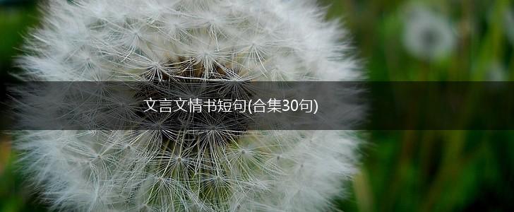 文言文情书短句(合集30句),第1张