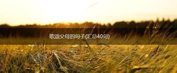 歌颂父母的句子(汇总40句),第1张