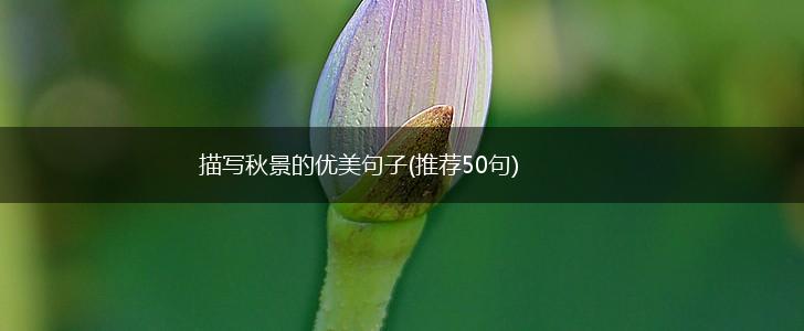 描写秋景的优美句子(推荐50句),第1张