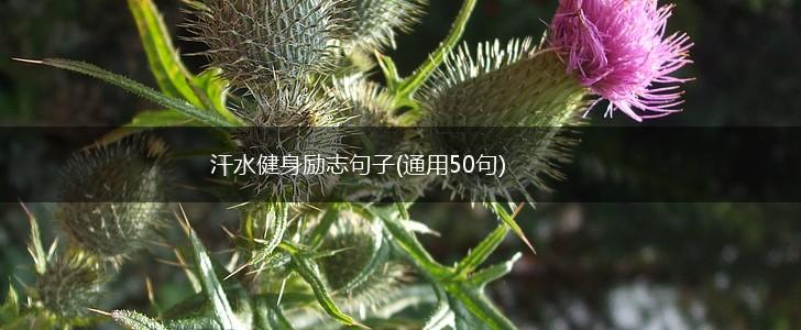 汗水健身励志句子(通用50句),第1张