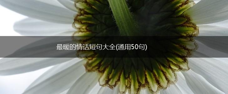 最暖的情话短句大全(通用50句),第1张