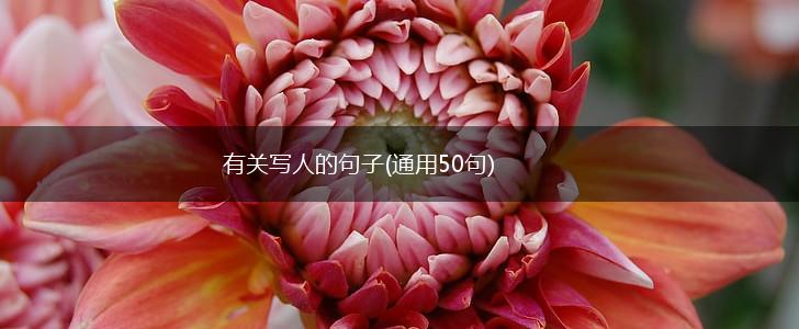 有关写人的句子(通用50句),第1张