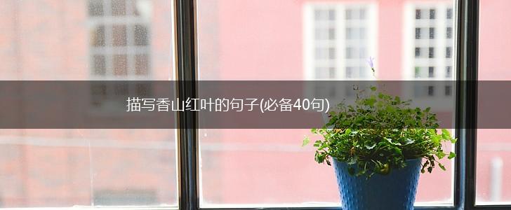 描写香山红叶的句子(必备40句),第1张