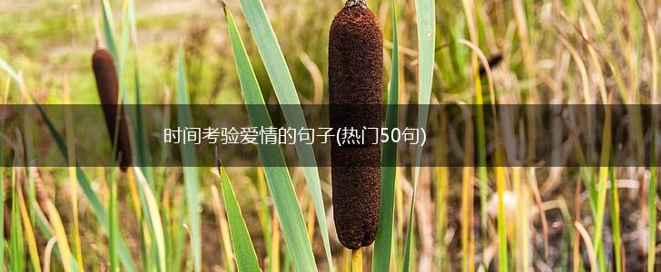 时间考验爱情的句子(热门50句),第1张