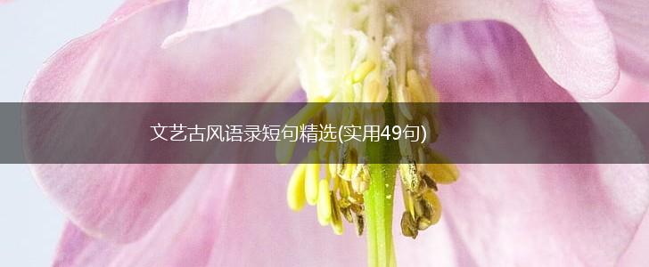 文艺古风语录短句精选(实用49句),第1张