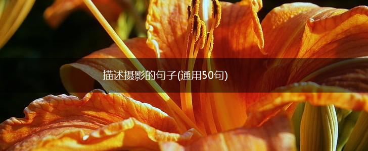 描述摄影的句子(通用50句),第1张