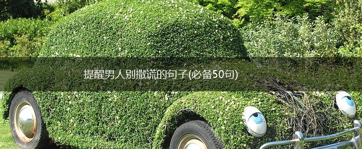提醒男人别撒谎的句子(必备50句),第1张