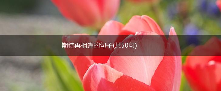 期待再相逢的句子(共50句),第1张