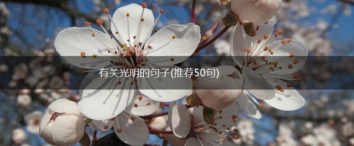 有关光明的句子(推荐50句),第1张