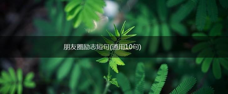 朋友圈励志短句(通用10句),第1张
