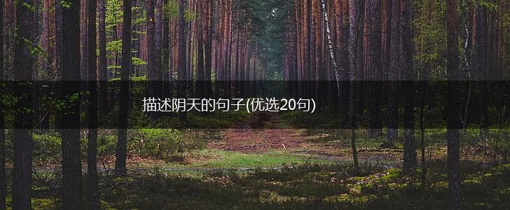 描述阴天的句子(优选20句),第1张