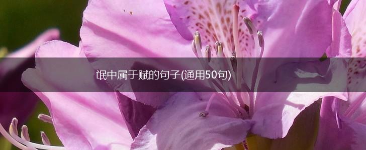 氓中属于赋的句子(通用50句),第1张