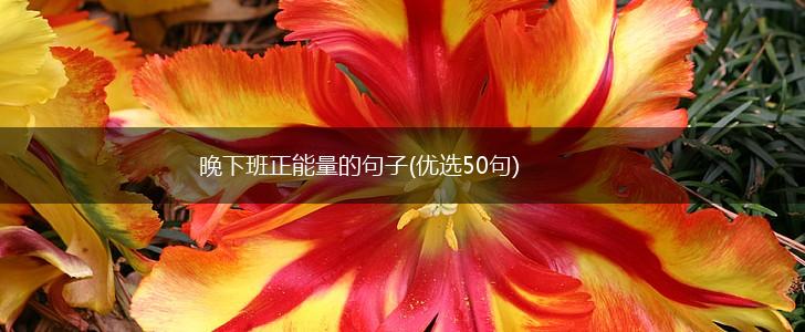 晚下班正能量的句子(优选50句),第1张