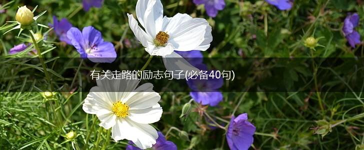 有关走路的励志句子(必备40句),第1张