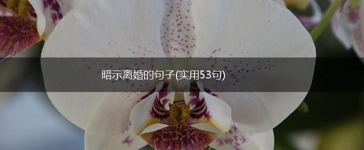 暗示离婚的句子(实用53句),第1张