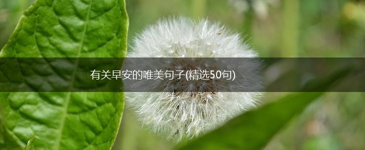 有关早安的唯美句子(精选50句),第1张