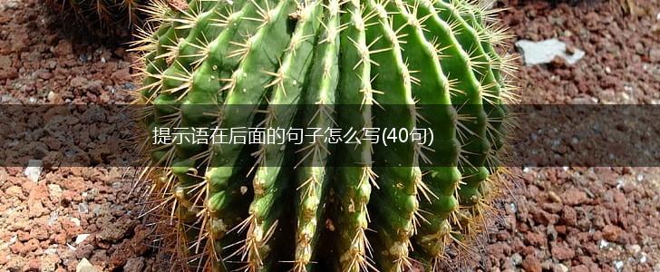 提示语在后面的句子怎么写(40句),第1张