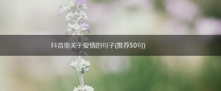 抖音里关于爱情的句子(推荐50句),第1张