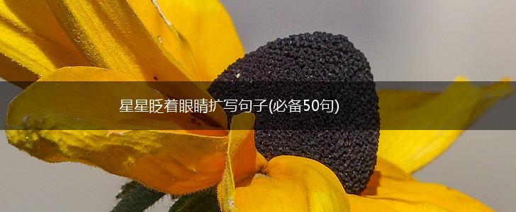 星星眨着眼睛扩写句子(必备50句),第1张