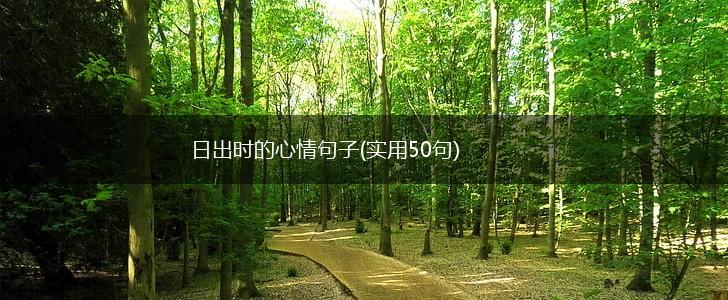 日出时的心情句子(实用50句),第1张