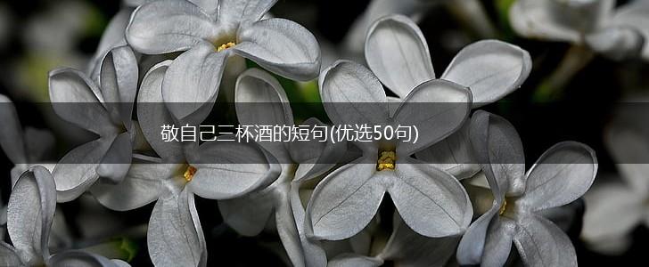 敬自己三杯酒的短句(优选50句),第1张