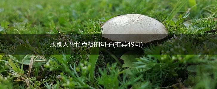 求别人帮忙点赞的句子(推荐49句),第1张
