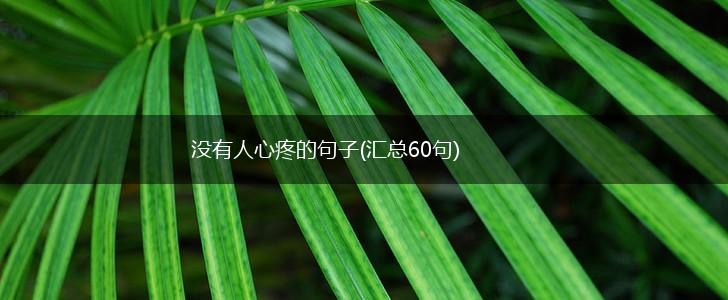 没有人心疼的句子(汇总60句),第1张