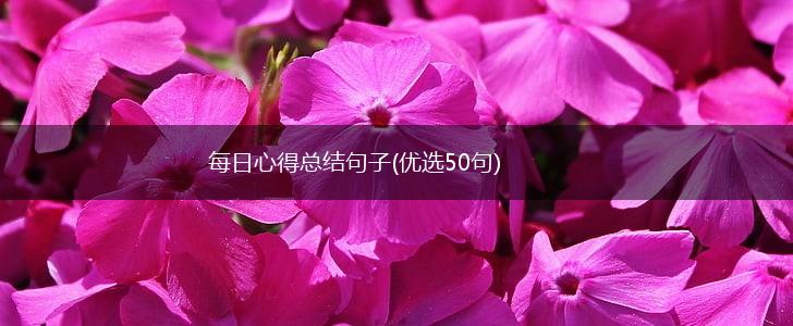 每日心得总结句子(优选50句),第1张