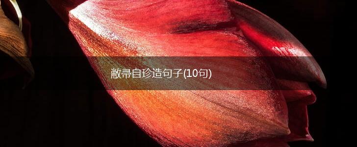 敝帚自珍造句子(10句),第1张