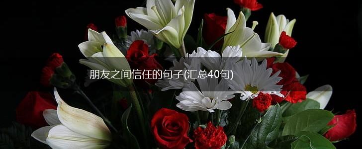 朋友之间信任的句子(汇总40句),第1张