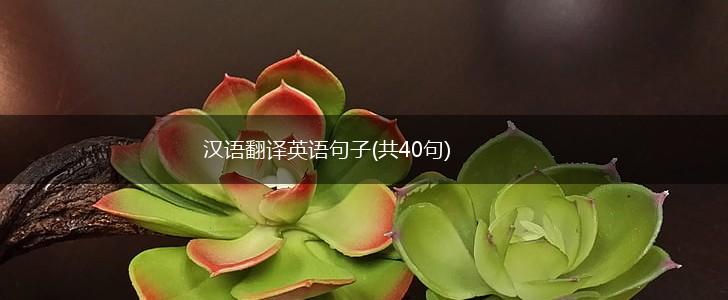汉语翻译英语句子(共40句),第1张