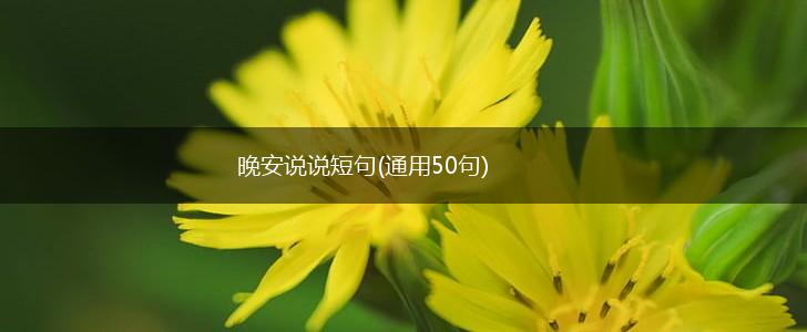 晚安说说短句(通用50句),第1张