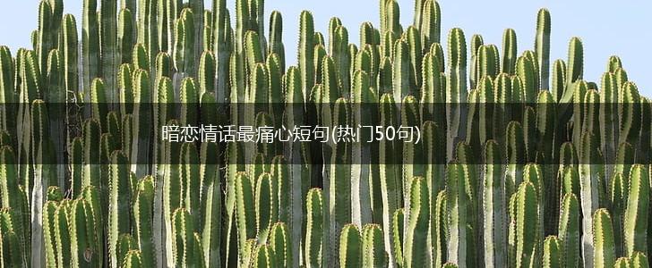 暗恋情话最痛心短句(热门50句),第1张