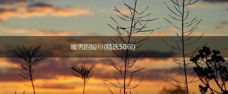 暖男的短句(精选50句),第1张