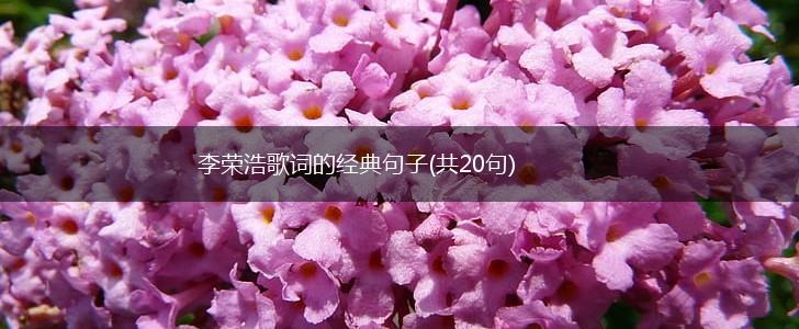 李荣浩歌词的经典句子(共20句),第1张