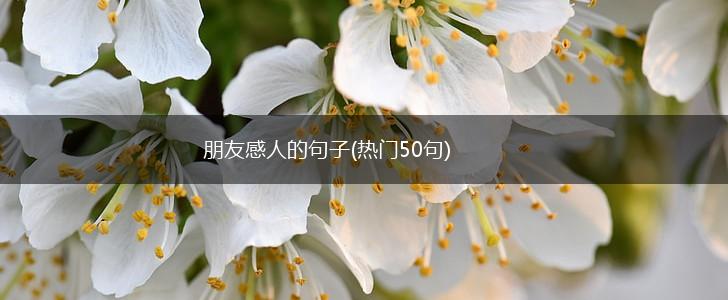 朋友感人的句子(热门50句),第1张