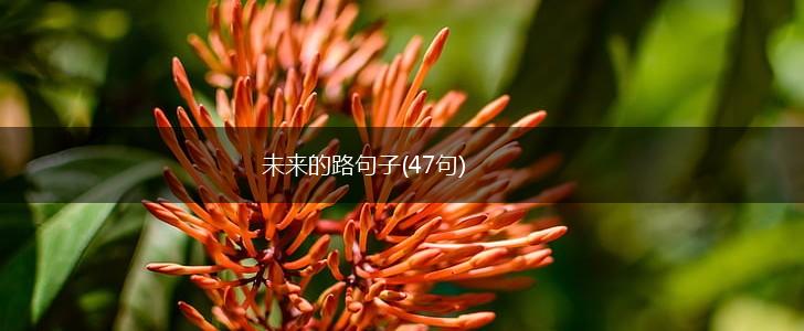 未来的路句子(47句),第1张