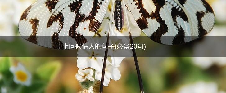 早上问候情人的句子(必备20句),第1张
