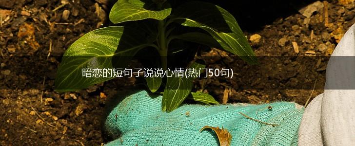 暗恋的短句子说说心情(热门50句),第1张