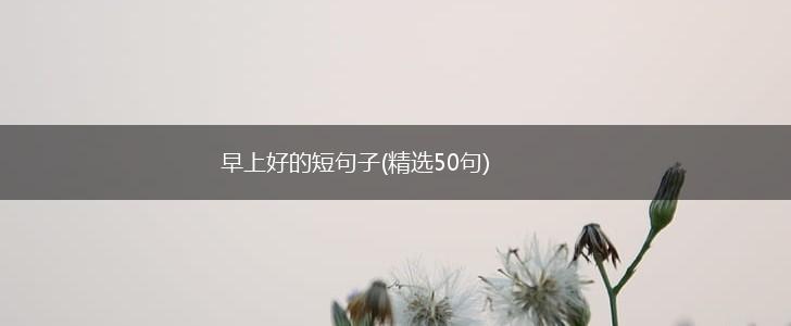 早上好的短句子(精选50句),第1张
